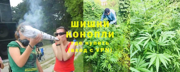 молекула духа Волосово