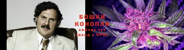 молекула духа Волосово