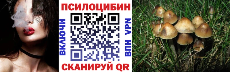 продажа наркотиков  Гаврилов-Ям  Псилоцибиновые грибы мицелий 
