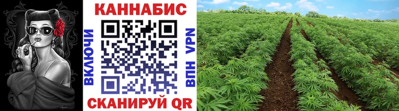 Конопля VHQ Гаврилов-Ям